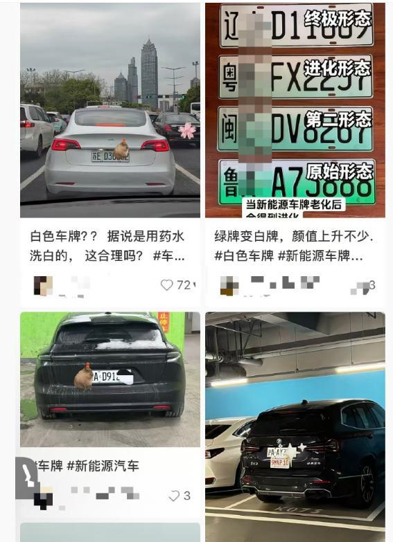 新闻.png