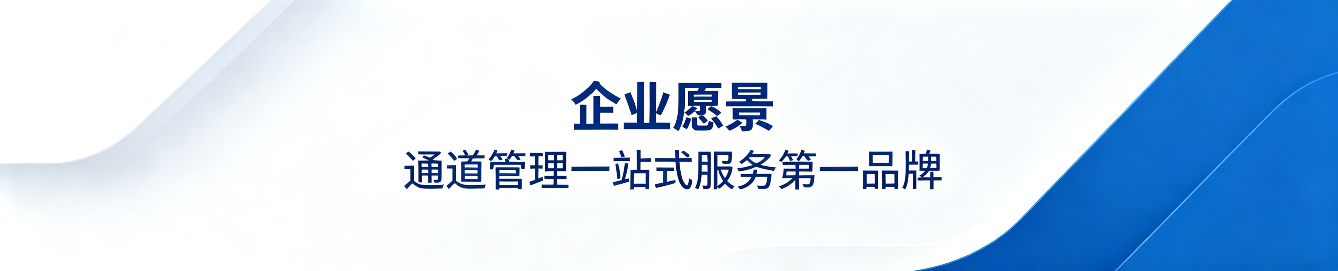 公司愿景