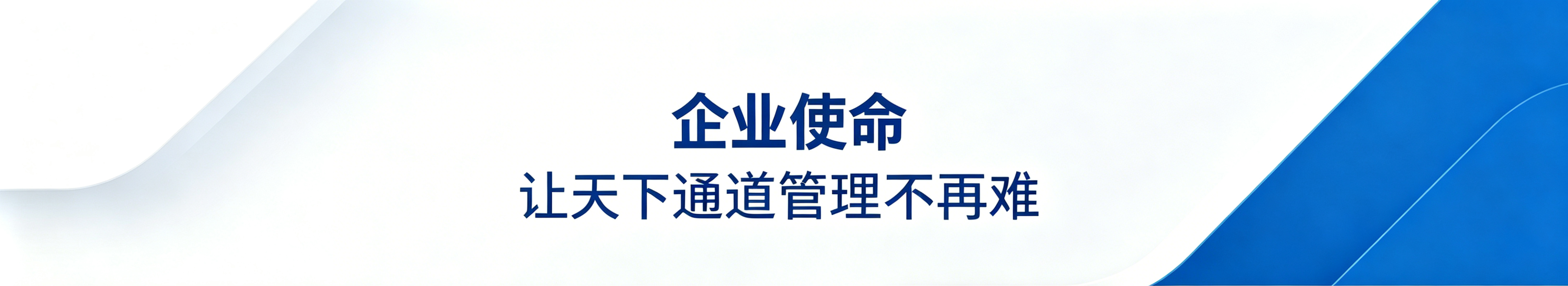 公司使命